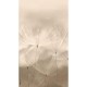 Mural Saint Honoré One Roll One Motif 2 Dandelion 1861-203801