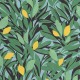 Papel Pintado Caselio Kitchen Box Cassis KBO105457720