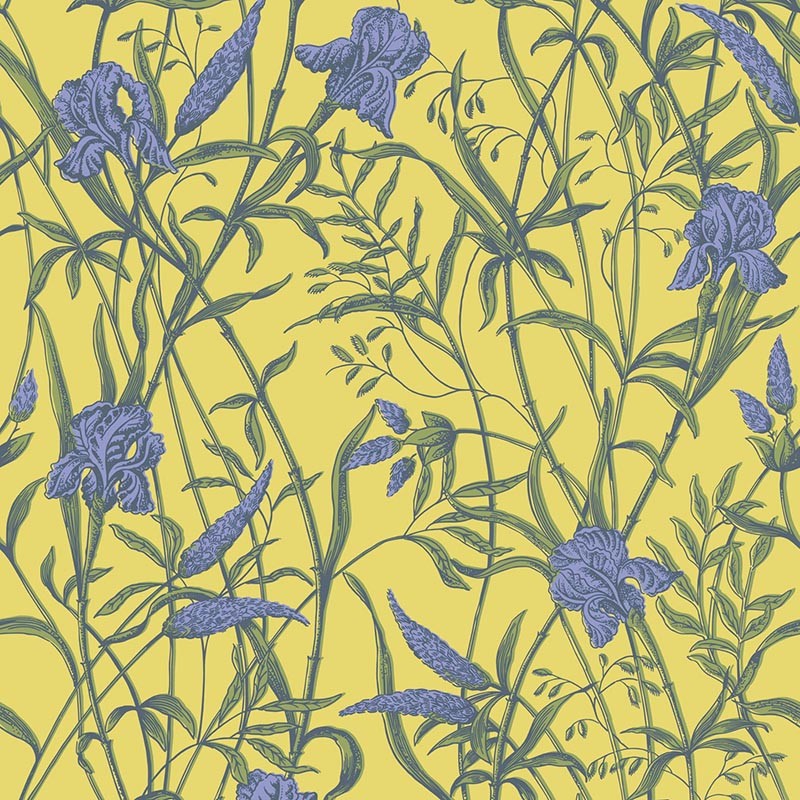 Papel pintado Cole & Son Classics 2 Iris 128/5027