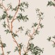 Papel pintado Cole & Son Classics 2 Chinese Branc 128/3013
