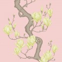 Classics 2 Magnolia Tree 128/1005 Papel pintado Cole & Son