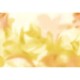 Mural Coordonne Coco Dávez Colortherapills Maravillas Golden C00144