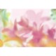 Mural Coordonne Coco Dávez Colortherapills Maravillas Pink C00143