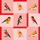 Papel pintado Coordonné Coco Dávez Colortherapills Like a Bird Pink C00138_N