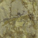 Carrara 4 86628 Papel pintado Emiliana Parati