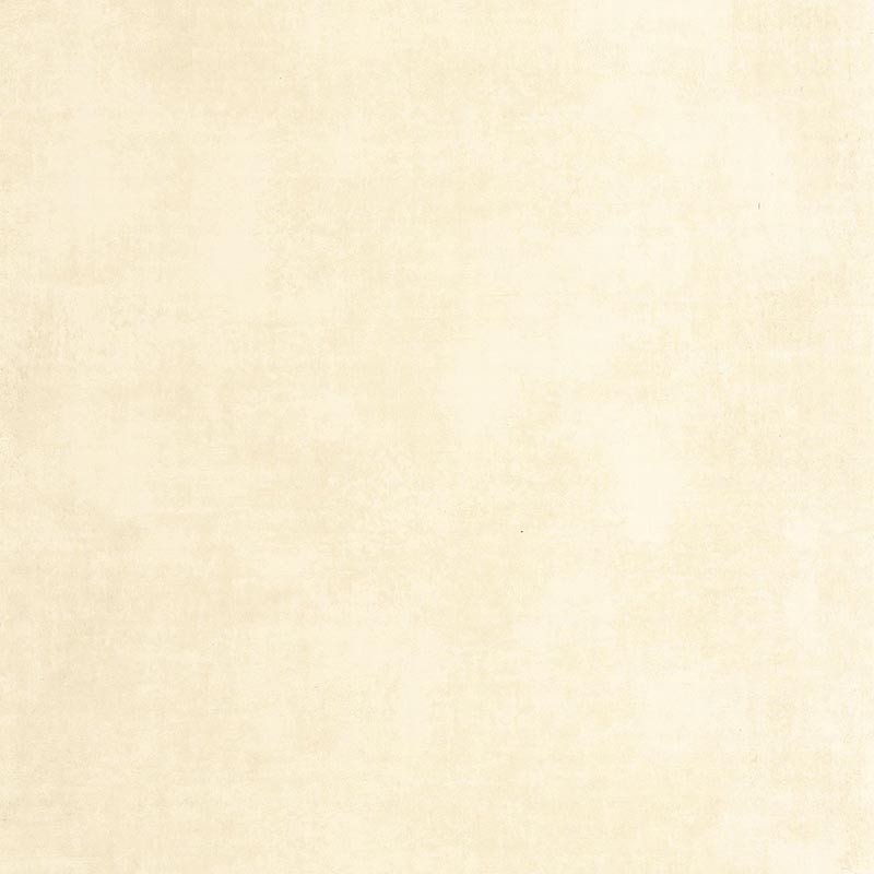 Papel pintado Casadeco So Color 6 Stone SOCO80832002