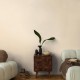 CosmoLiving 79065-3 Papel pintado Living Walls