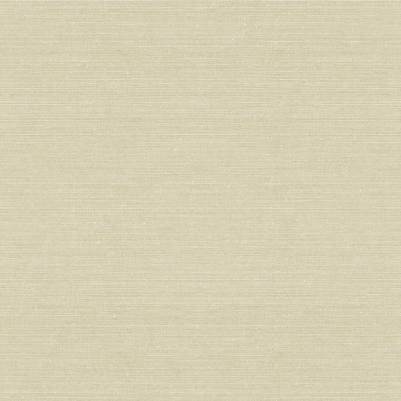Papel pintado Hera Walls Tempo Tempo Plain H515-4F
