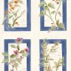 Papel pintado Coordonné Ybarra & Serret Sevilla Sta Cruz YSP0633