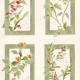 Papel pintado Coordonné Ybarra & Serret Sevilla Sta Cruz YSP0631
