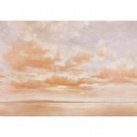 Damaskus Cumulus Clouds Peach D00157_N Mural Coordonné