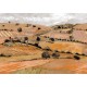 Mural Tres Tintas Solera Quijote Orange M5203-3_N