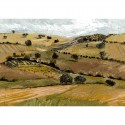 Solera Quijote M5203-2_N Mural Tres Tintas