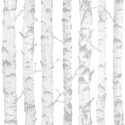 Joy 72060 Papel Infantil KT Exclusive