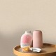 Papel pintado Caselio Mix & Stripes Uni Mat MIP104011230