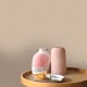 Papel pintado Caselio Mix & Stripes Uni Mat MIP104011555