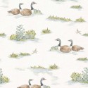 Cotswolds Mallard-Duck YSP0536 OFF Papel Coordonné