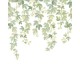 Mural Casadeco WonderWalls 3 Fruit du Houblon WDWT202317905V