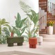 Mural Casadeco WonderWalls 3 Eden Tropical WDWT202337207NW