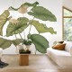 Mural Casadeco WonderWalls 3 Alocasia WDWT202227940V