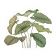 Mural Casadeco WonderWalls 3 Alocasia WDWT202227940V