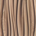 Woods Wallpaper 0181667 Papel pintado pdwall