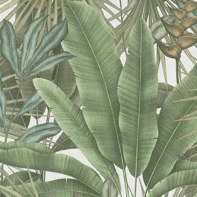 Papel pintado pdwall Botanica Wallpaper 01396472