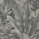 Papel pintado pdwall Botanica Wallpaper 01396473