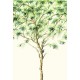 Mural Decorativo A Collection of Trees TR71504M