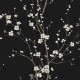 Papel pintado A Collection of Trees Cherry Branches TR70900 