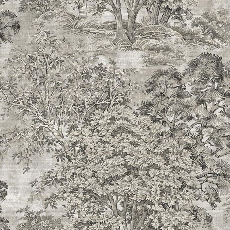 Papel pintado A Collection of Trees Majestic Grass Trees TR72008