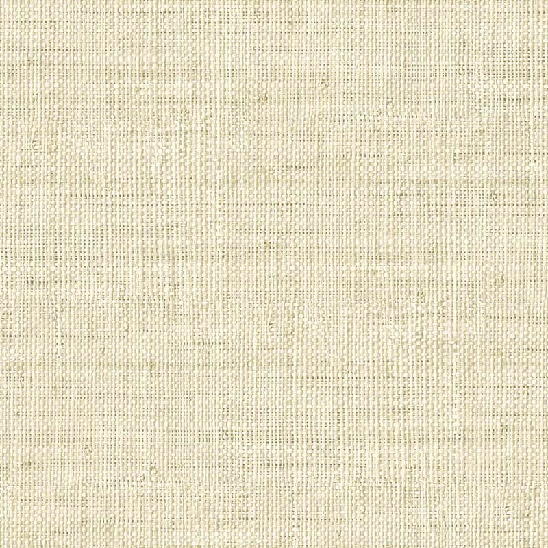 Raffia Wild Bind 27 Papel Wallquest RA40303  