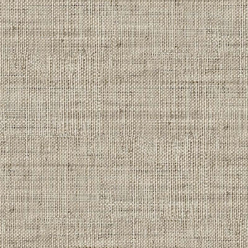 Raffia Wild Bind 27 Papel Wallquest RA40350 