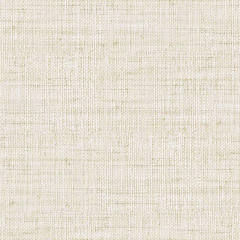 Raffia Wild Bind 27 Papel Wallquest RA40311 