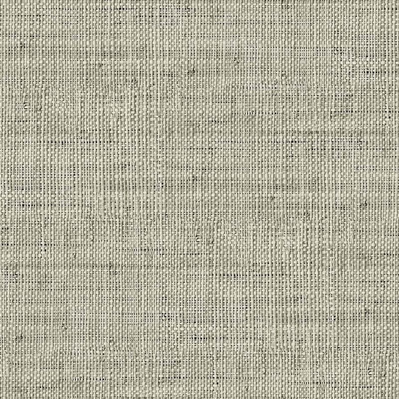 Raffia Wild Bind 27 Papel Wallquest RA40317  