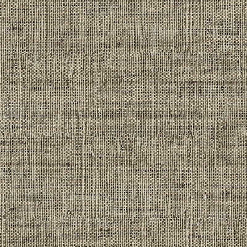 Raffia Wild Bind 27 Papel Wallquest RA40316 