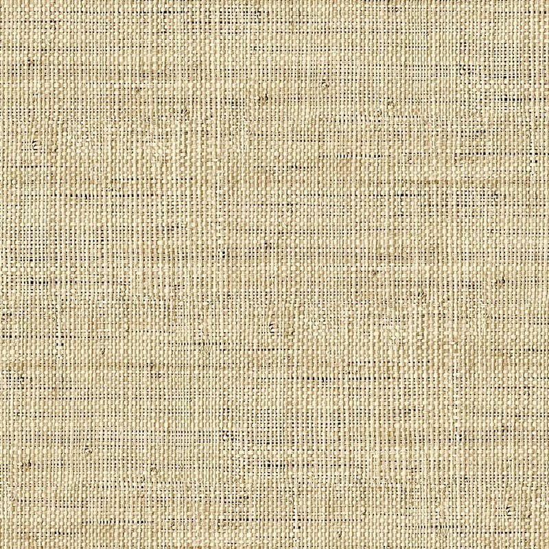 Raffia Wild Bind 27 Papel Wallquest RA40315 
