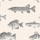 21 The Gentleman Papel Carl Robinson Trout CL71408  