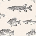 21 The Gentleman Trout CL71408  Papel Carl Robinson