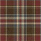 21 The Gentleman Papel Carl Robinson Thornhill CL71201  