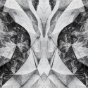 Philipp Plein 2 Z81068 Mural Zambaiti Parati