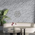 Philipp Plein 2 Z81060 Mural Zambaiti Parati