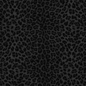 Philipp Plein 2 Z81031 Papel pintado Zambaiti Parati