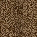 Philipp Plein 2 Z81029 Papel pintado Zambaiti Parati