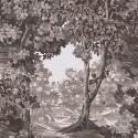 Arboretum Bodenham 127903 Papel pintado Saint Honoré