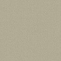 Cozy COZY18 Papel pintado Parati