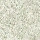 Papel pintado York Classics Aslan 1893-GT4582 