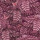 Papel Pintado Cole & Son Ardmore Baobab Afrika Damask 129/4016