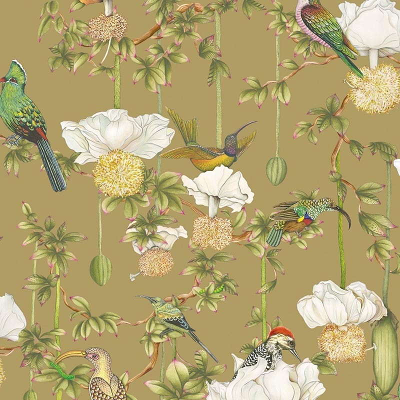 Papel Pintado Cole & Son Ardmore Baobab Baobab Botanica 129/2008