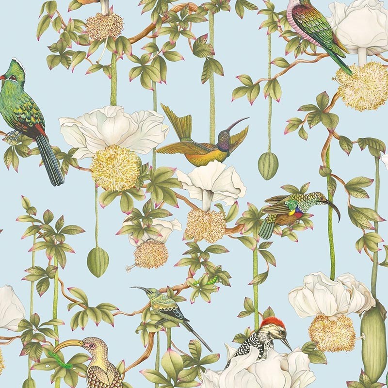 Papel Pintado Cole & Son Ardmore Baobab Baobab Botanica 129/2007